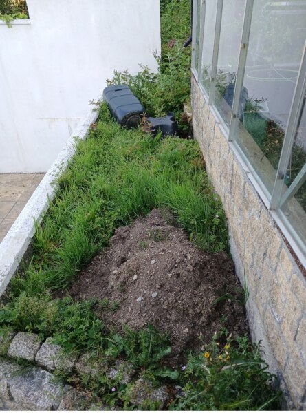 Improving soil & mulch help please
