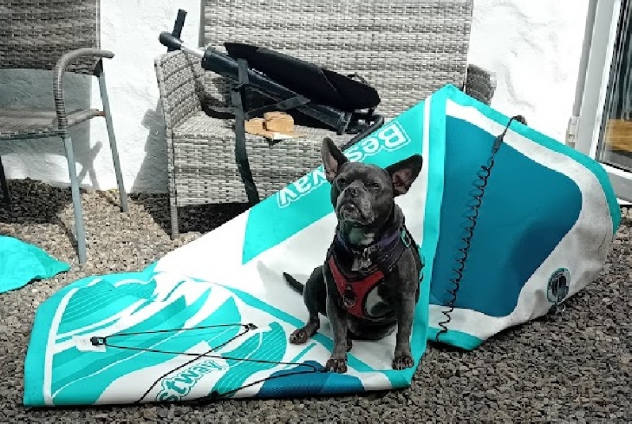 The Continuing Support Thread for Anyone Trying to Lead an Alcohol-Free Life Spring into Summer 2026