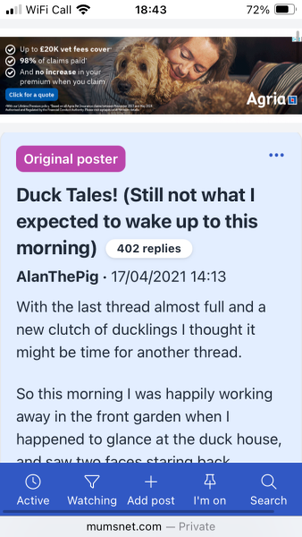 Is the Mumsnetter who has a pond in her garden and reported on the ducks and geese, still on Mumsnet ?