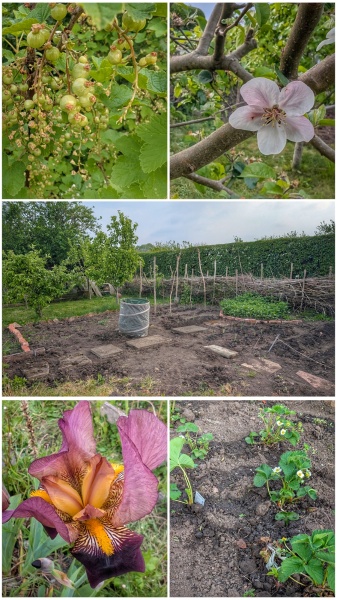 2026 Allotmenteers - have we lost the plot?!