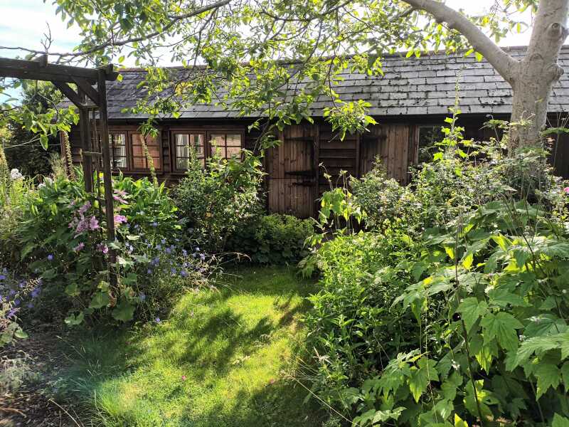 How to manage gardening with disabilities