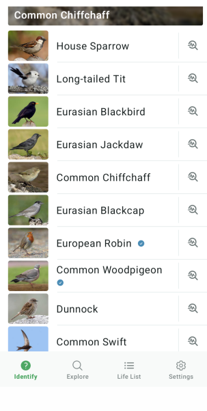 What birds are singing in your garden tonight?