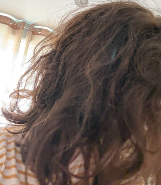 Shampoo + conditioner + more recommendations for my hair please