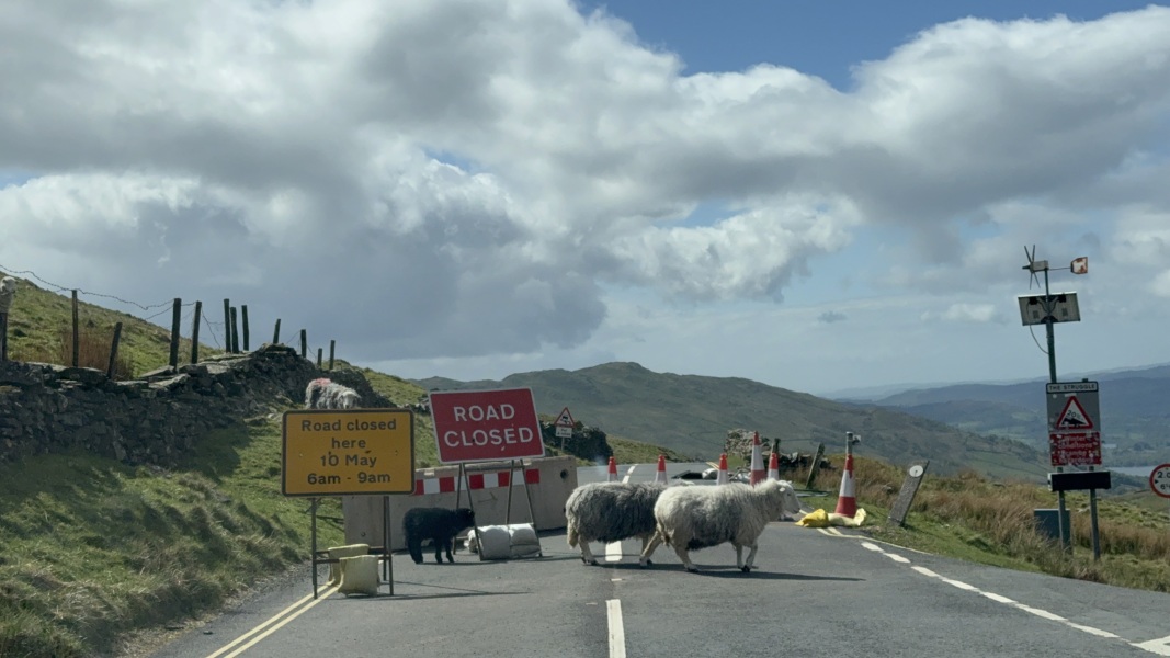 AIBU to plan a day trip to the Lake District? Help!