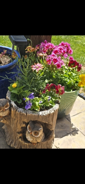 May flowers & spring cleaning - flylady style