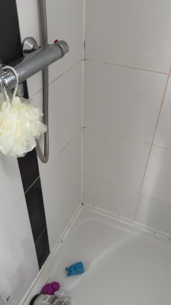 Mould in new flat with young children, what else can I do?