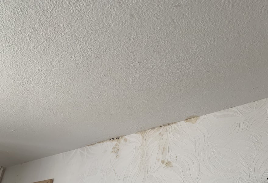 Water leak in terraced house