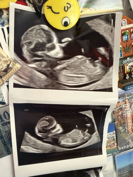 🎇 Due November 26 🎆