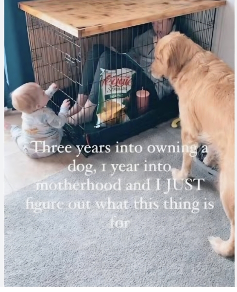 Best place in the house for a puppy’s crate