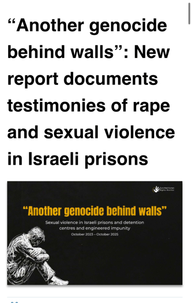 CW: Sexual Violence | Reading About Rape by Israelis Has Left Me Sick