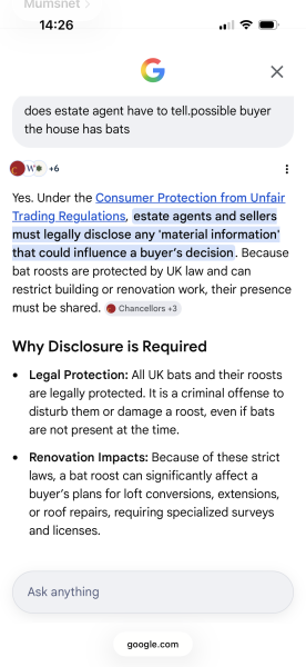 AIBU if I disclose to the Estate Agents what is living in the house's roof?