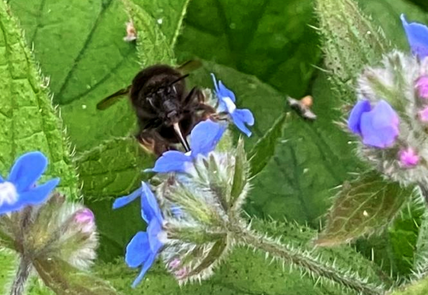 Year Round Nigel Slater discussion thread - Part 4