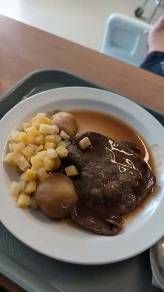 Hospital food