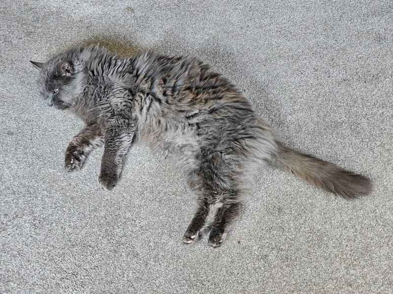 Thread 50 Starmer : Το ταξίδι είναι η ανταμοιβή
