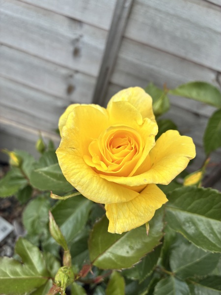 Seeking gentle support after recognising abuse and coercive control