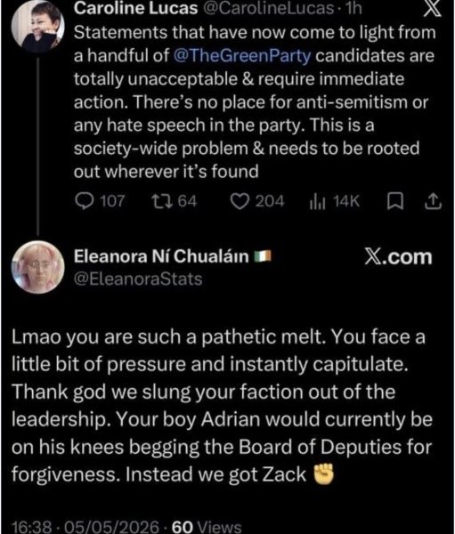 AIBU to think this Green Party response raises antisemitism concerns?