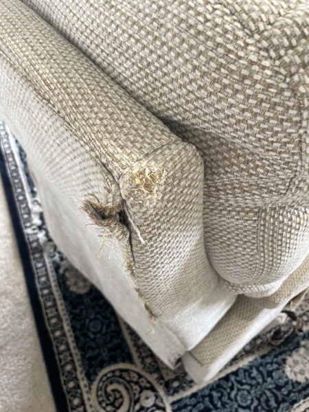AIBU to step back if my elderly MIL refuses basic hygiene?
