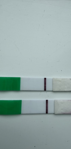 Line eyes? 8dpo