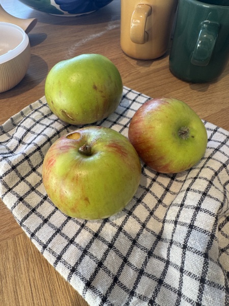 What apples should I buy?