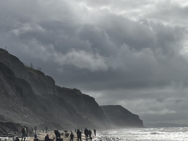 Ideas for stuff to do in and around Lyme Regis