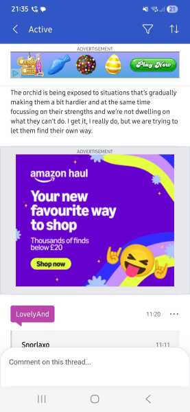 Amazon Haul advert opens every time I so much as look at a thread