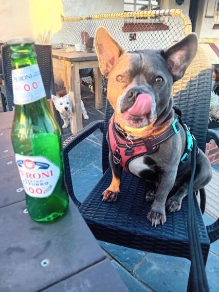 The Continuing Support Thread for Anyone Trying to Lead an Alcohol-Free Life Spring into Summer 2026