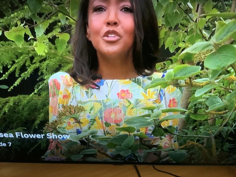 What’s going on with Monty’s trousers?