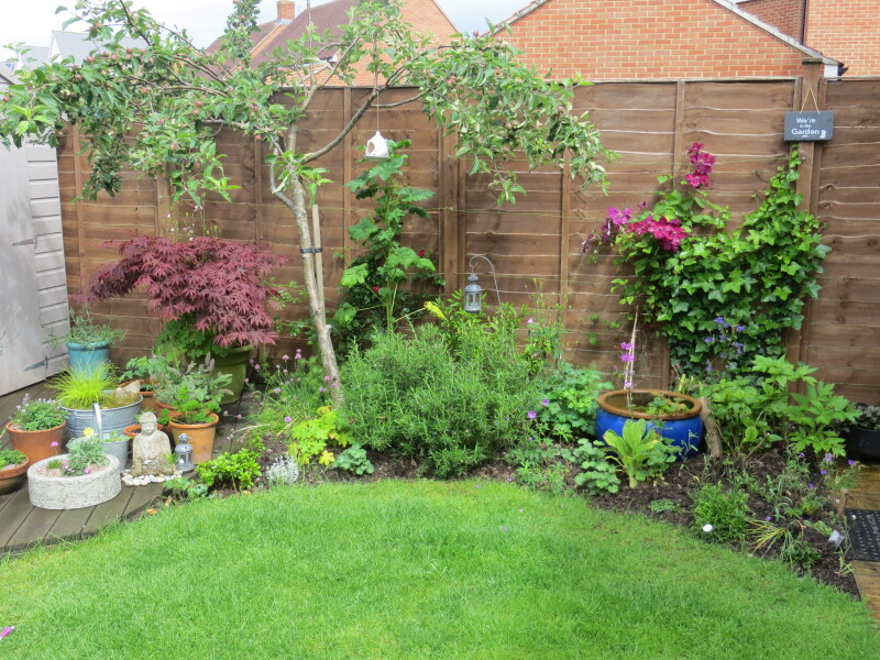 Why do people want to rip every plant out of their gardens?!