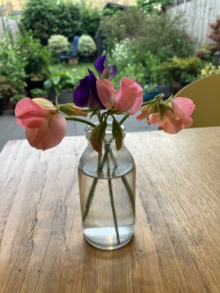 Show Us Your Photos