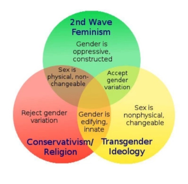 Watch in real time as Trans Reddit turns on one of it's own for suggesting that maybe they are biological men and arguing they are not makes them look unstable.