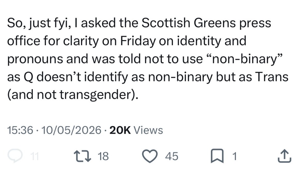 Trans Green Party candidate with no British visa elected to Holyrood