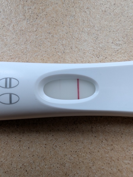 IVF May 2026 - Transfers