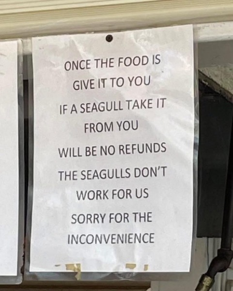 Would you give me the replacement chips?
