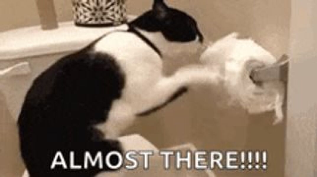 Get A Compass! The Excellent Cats embrace a new rallying cry