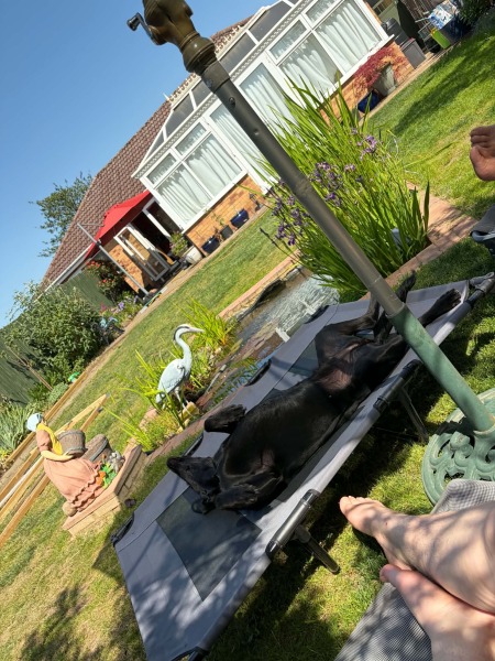 What are you doing in this heat?