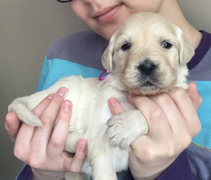 Vet advice… AIBU about costs.