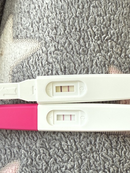 Timing intercourse around positive ovulation tests and chances of conception