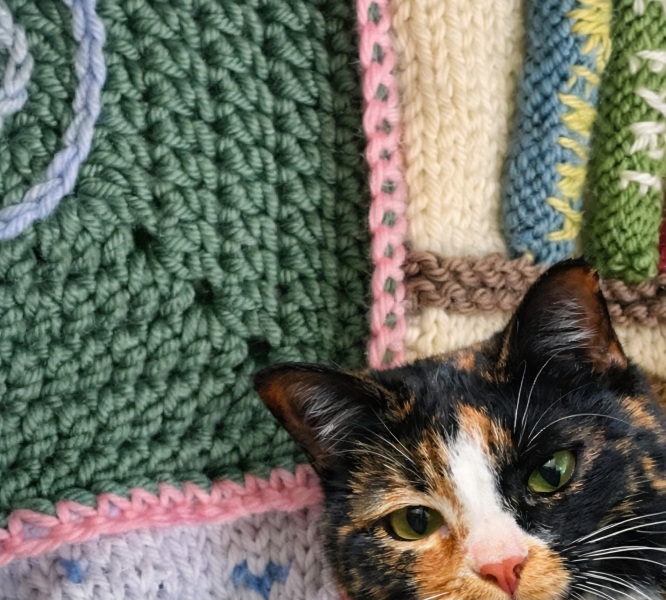 Part 2. Our blanket making for lovely waffle heads into its final stages.