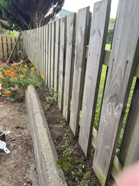 What have you done in the garden today? Part 8