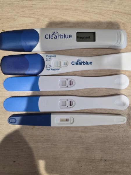 Clearblue says pregnant but periods are irregular and dates uncertain