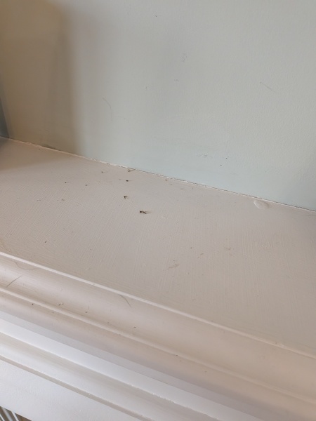 AIBU to question the standard of an initial house clean?