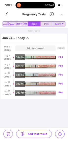 Line progression 17DPO pregnancy after loss.