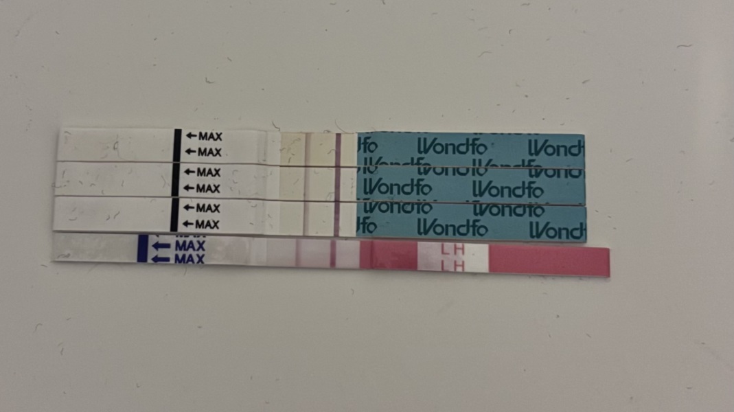 New to trying for a baby after stopping mini pill