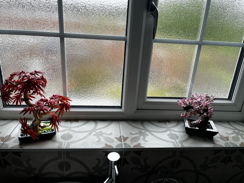Plants for a windowless bathroom