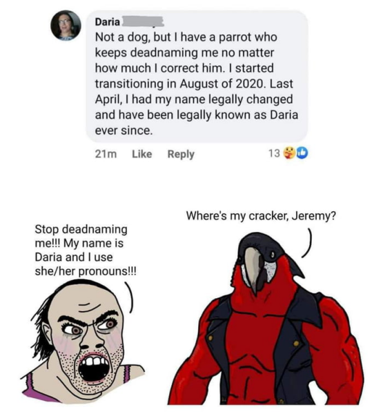 Watch in real time as Trans Reddit turns on one of it's own for suggesting that maybe they are biological men and arguing they are not makes them look unstable.