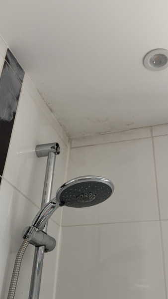 Mould in new flat with young children, what else can I do?