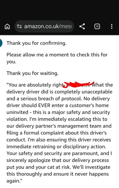 AIBU to complain after Amazon opened the door and my cat escaped?
