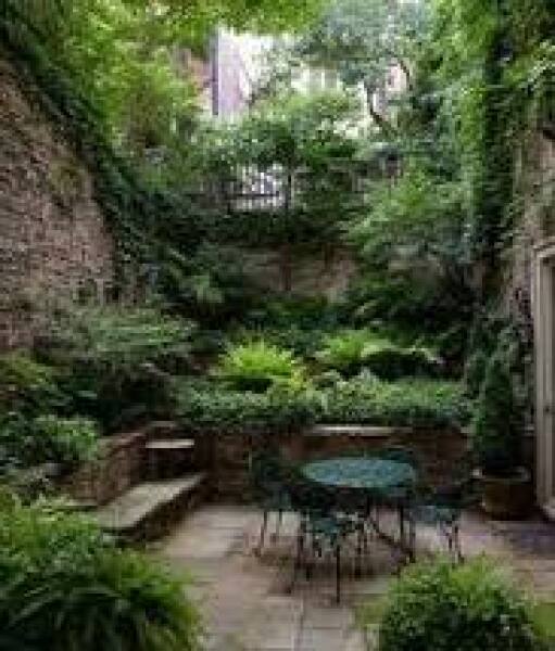 Ideas for planting a small sunken garden with limited light