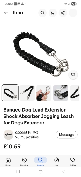 Recall training for an adult dog - horrible park incident