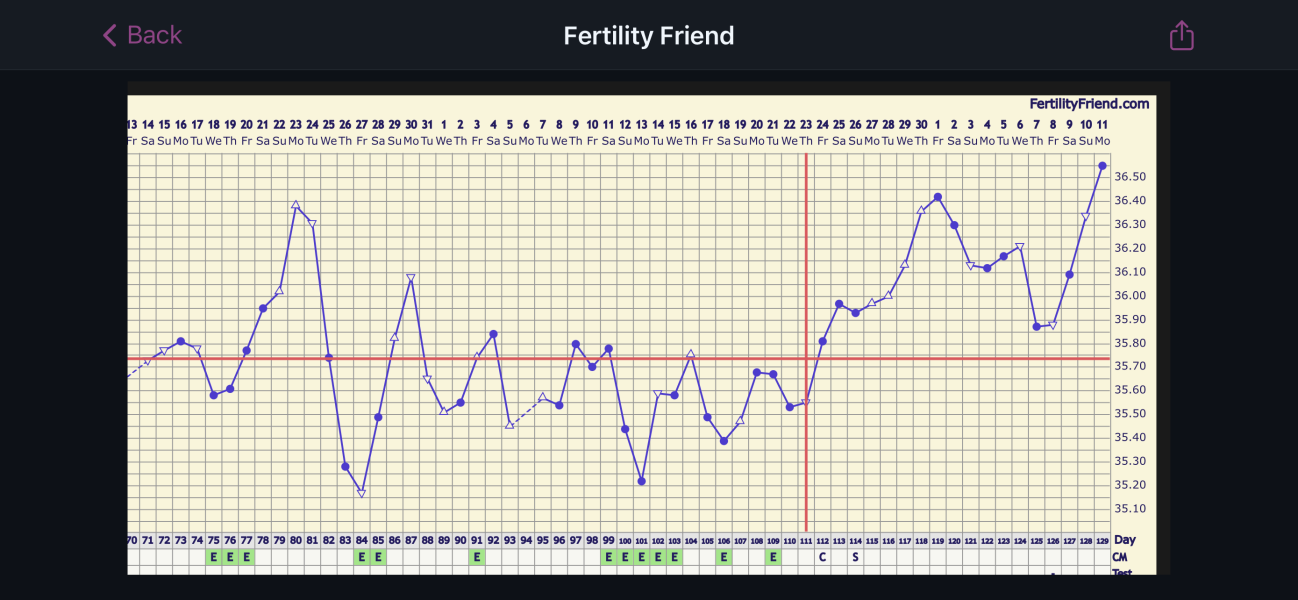 18 dpo negative tests no period